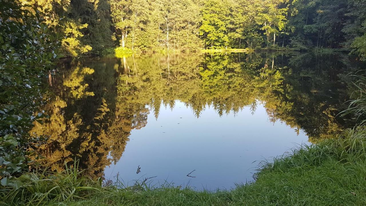 Apartman U Kolonady Marianske Lazne Luaran gambar